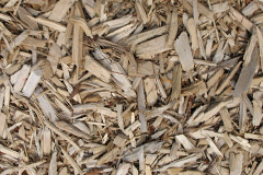biomass boilers Frost
